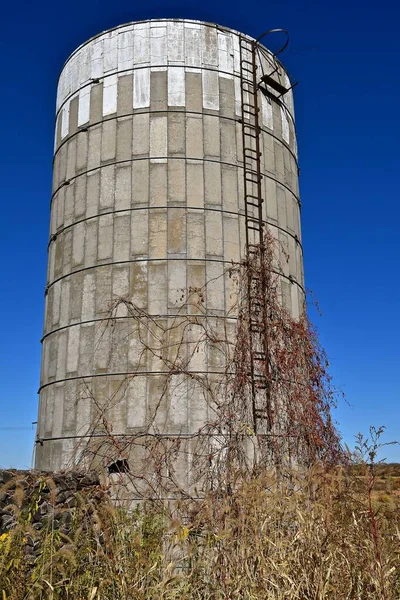 Stagione Autunnale Mostra Viti Essiccate Vecchio Silo Doghe Cemento Che — Foto Stock