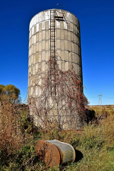 Podzimní Období Zobrazuje Vyschlé Vinné Révy Starého Betonového Sila Které — Stock fotografie