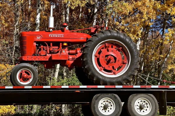 Osakis Minnesota Octobre 2020 Ancien Tracteur Farmall Rouge Restauré Sur — Photo
