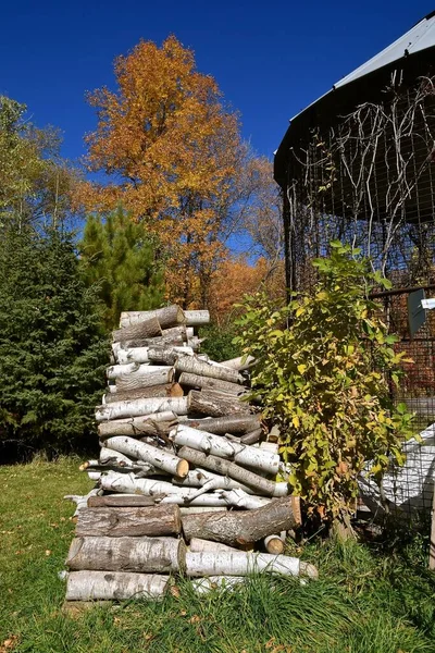 Stack Cut Firewood Rests Side Empty Metal Corn Crib — Stock Photo, Image