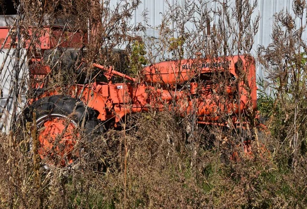 Osakis Minnesota Οκτωβρίου 2020 Πορτοκαλί Ελκυστήρας Κρυμμένος Στα Ζιζάνια Είναι — Φωτογραφία Αρχείου