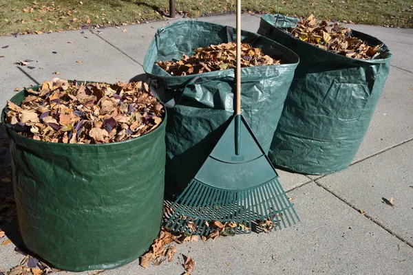 Bolsas Jardín Están Llenas Hojas Retiradas Hierba Durante Otoño —  Fotos de Stock