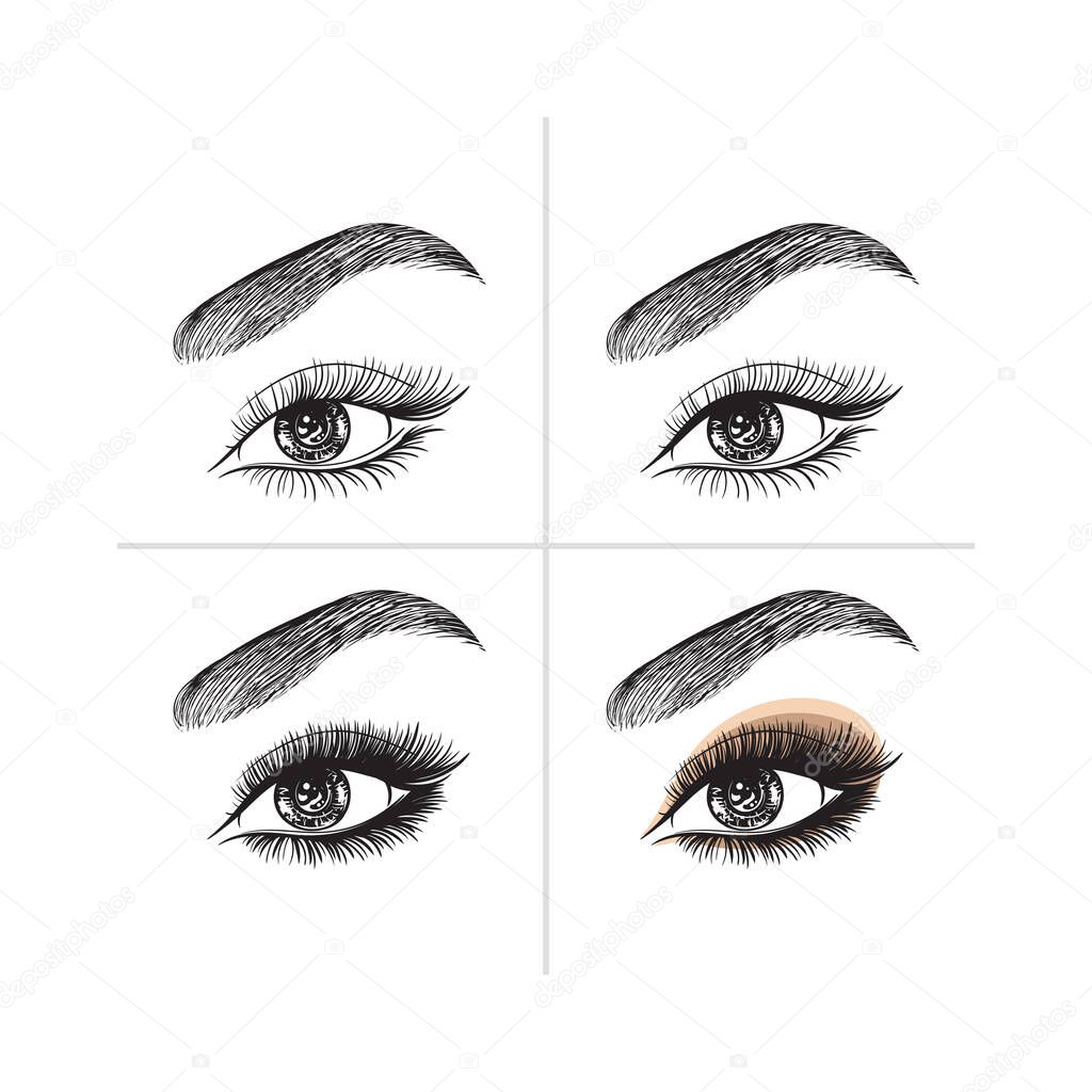 Eyes without makeup. Eyes with makeup.Step by step.Beautiful female eye isolated on a white background.Eyebrows, eyelashes, shadows.Vector stock illustration template.