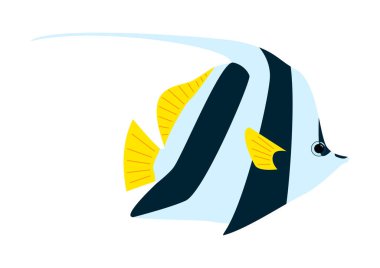 Melek balığı. Beyaz zemin üzerinde izole edilmiş tropikal balıkların renkli vektör çizimi.