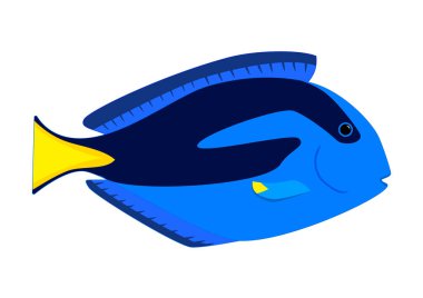 Cerrah balığı. Beyaz zemin üzerinde izole edilmiş tropikal balıkların renkli vektör çizimi.