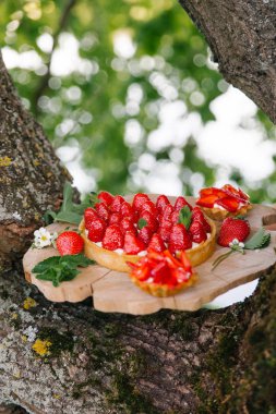 Ağaç gövdesi üzerinde sawed ahşap duran küçük tart ile çilekli pasta servis 