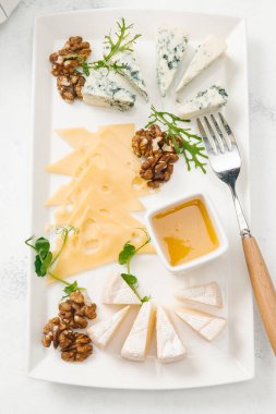 Peynir tabağı ile fındık ve bal beyaz masada