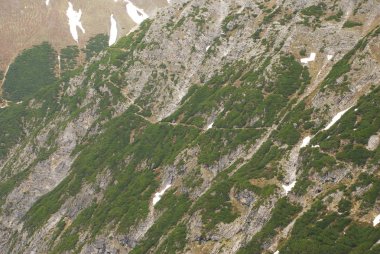 güzel yeşil tepelerin doğal görünümü