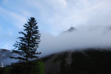 Sis doğal görünümünü çam ormanı ile dağlarda