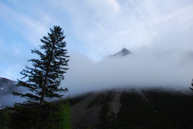 Sis doğal görünümünü çam ormanı ile dağlarda