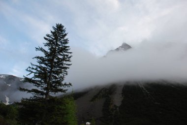 Sis doğal görünümünü çam ormanı ile dağlarda