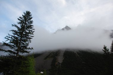 Sis doğal görünümünü çam ormanı ile dağlarda