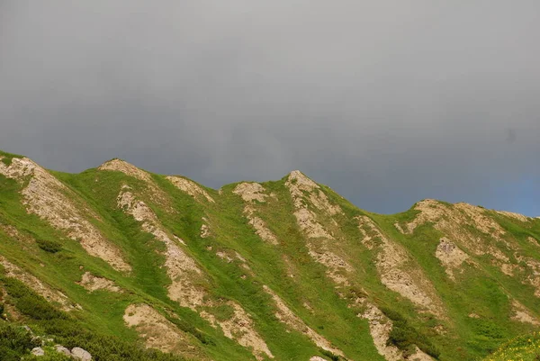 güzel yeşil tepelerin doğal görünümü