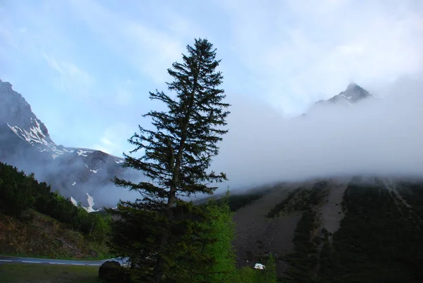 Vue Panoramique Brume Dans Les Montagnes Avec Forêt Épinettes — Photo