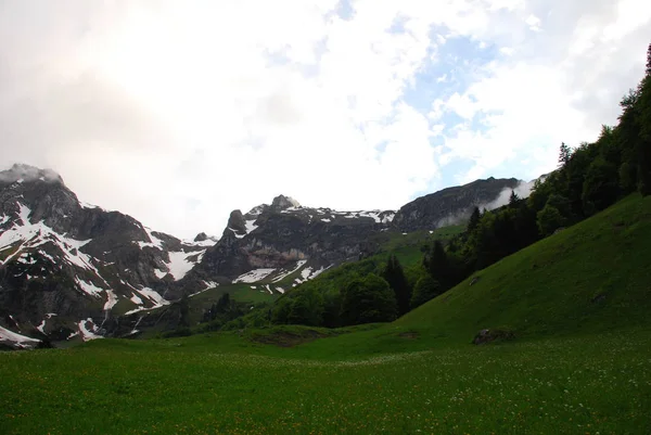 Vue Panoramique Sur Les Montagnes Couvertes Neige Épinettes Vertes — Photo