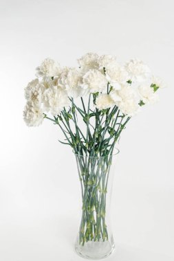 İhale izole beyaz arka plan üzerinde beyaz Karanfil Buketi