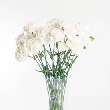 İhale izole beyaz arka plan üzerinde beyaz Karanfil Buketi