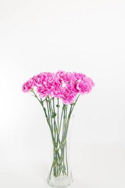 Beyaz arka plan üzerinde izole taze pembe Karanfil Buketi