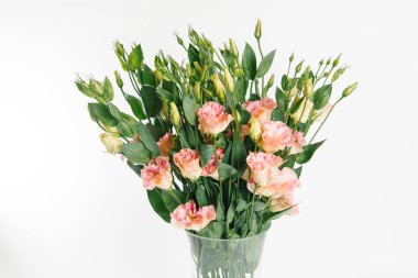 Şeftali-renk eustoma vazoda beyaz arka plan üzerinde muhteşem buket