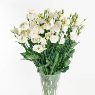 Taze buket büyük beyaz eustoma beyaz arka plan üzerinde izole