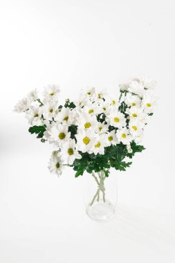 Taze buket büyük beyaz arka plan üzerinde beyaz krizantem