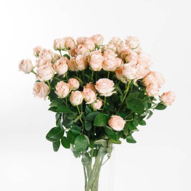 Taze beyaz arka plan üzerinde şeftali renginde gül buketi