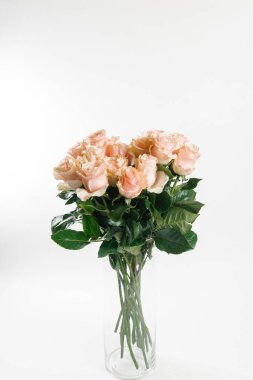 İhale beyaz arka plan üzerinde şeftali renginde gül buketi 