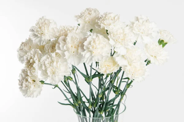 Tierno Ramo Claveles Blancos Aislados Sobre Fondo Blanco — Foto de Stock