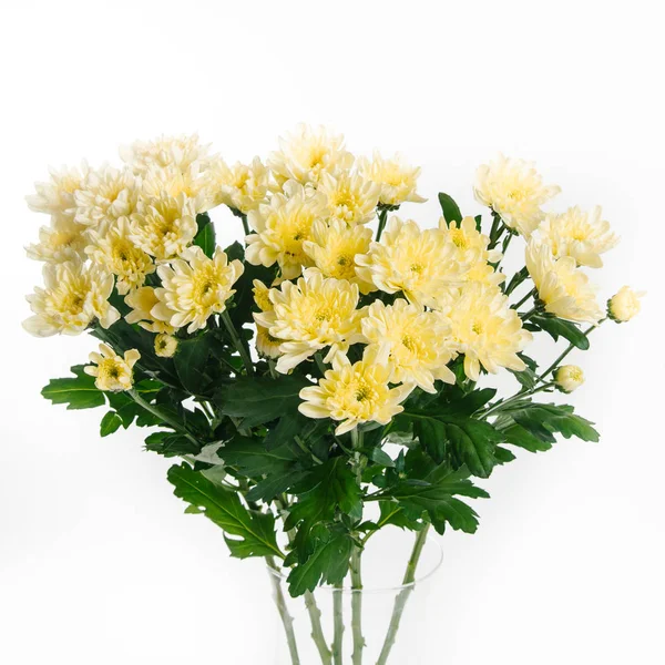 Fresh bouquet of yellow chrysanthemums on white background