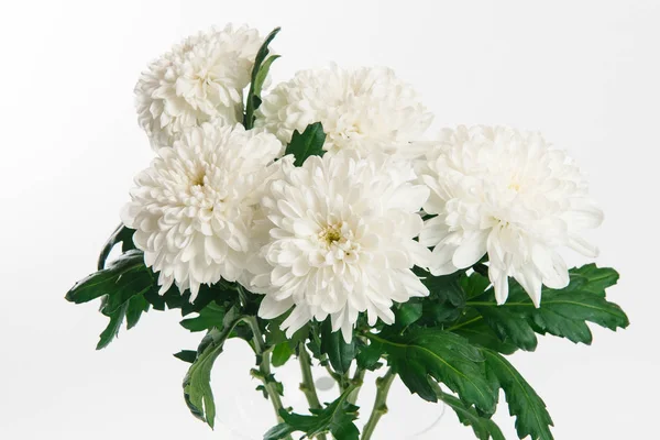 Bouquet White Fluffy Chrysanthemums Isolated White Background — Stock Photo, Image