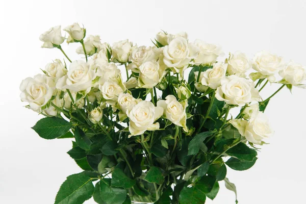 Tender Bouquet White Garden Roses White Background — Stock Photo, Image