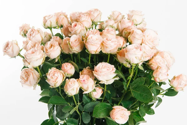 Fresh Bouquet Peach Coloured Roses White Background — Stock Photo, Image