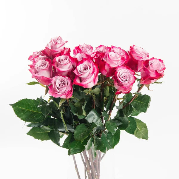 Muhteşem beyaz arka plan üzerinde yaprakları üzerinde gradyan ile pembe gül buketi