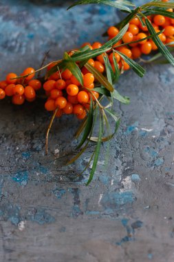 dal deniz cehri çilek görünümü koyu arka plan üzerinde kadar kapatın