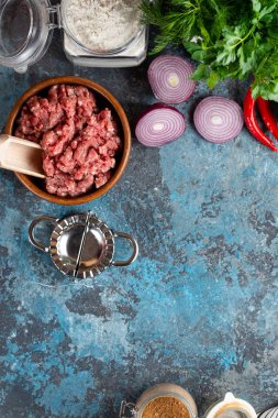 Çiğ kıyılmış et ve turkuaz arka plan üzerinde türler