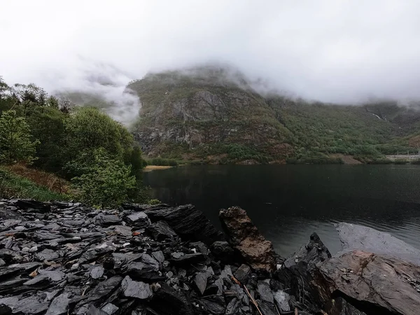 挪威树木繁茂的乡村的雾景观 — 图库照片
