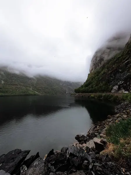 Neblige Landschaft Der Bewaldeten Landschaft Norwegens — Stockfoto