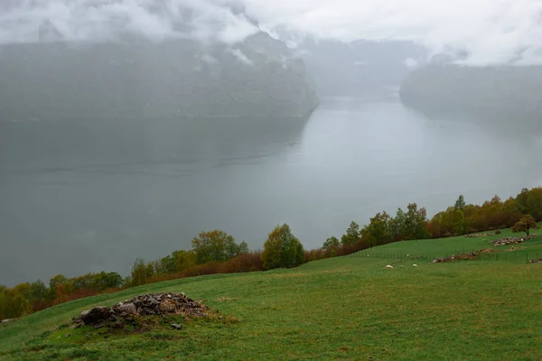 Neblige Landschaft Mit Luftaufnahme Des Malerischen Sees Norwegen — Stockfoto