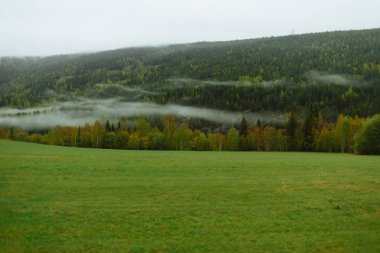 Yeşil çayır ve dağların alanının sisli manzara 