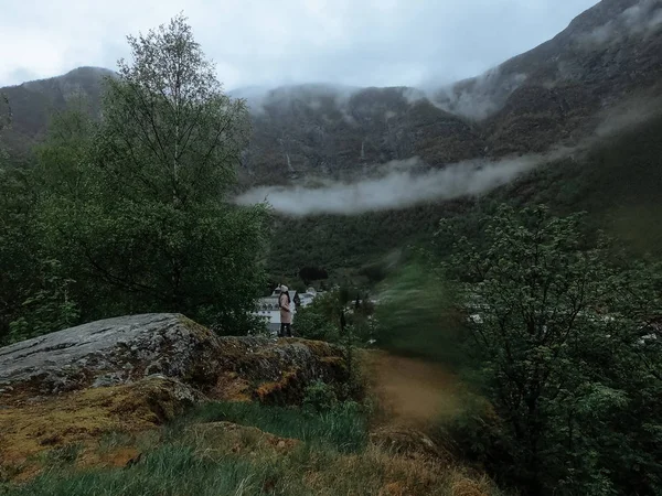 Neblige Landschaft Der Bewaldeten Landschaft Norwegens — Stockfoto