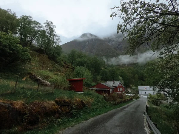 Neblige Landschaft Der Bewaldeten Landschaft Norwegens — Stockfoto