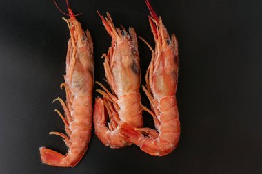 karidesler siyah arkaplanda