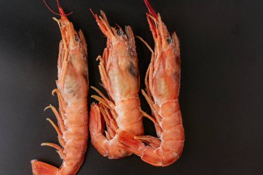 Siyah arka planda taze karidesler