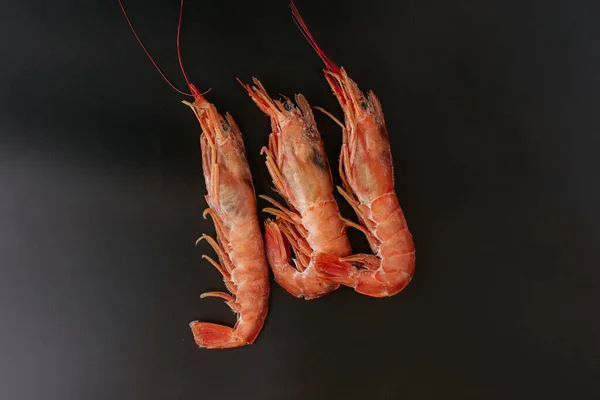 Crevettes Fraîches Sur Fond Noir — Photo