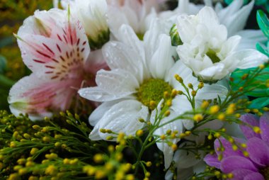 Çeşitli kasımpatılar, papatyalar ve papatyalardan oluşan güzel bir buket. Kasımpatı ve papatya tomurcuklarına yakın çekim. Tomurcukların ve çiçeklerin makro çekimi. 