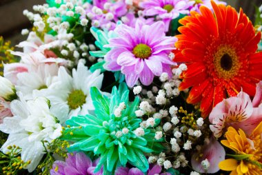 Renkli kasımpatı görüntüsü. Kasımpatı ve papatya tomurcuklarına yakın çekim. Tomurcukların ve çiçeklerin makro çekimi. 