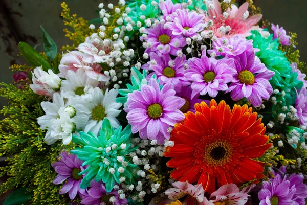 Das Bild Der Bunten Chrysanthemen Nahaufnahme Von Chrysanthemen Und Kamillenknospen — Stockfoto