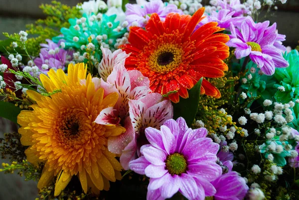 Das Bild Der Gelben Und Orangen Chrysanthemenknospe Nahaufnahme Von Chrysanthemen — Stockfoto