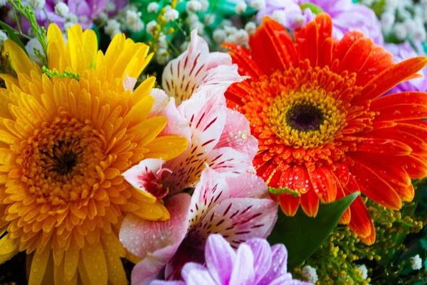 Das Bild Der Gelben Und Orangen Chrysanthemenknospe Nahaufnahme Von Chrysanthemen — Stockfoto