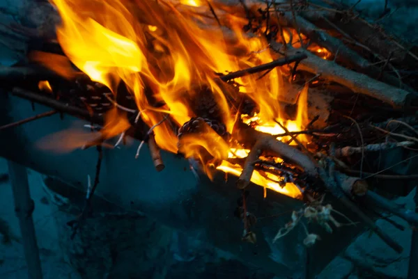 Şöminede yanan odun görüntüsü. Yakacak odun, et kebabı pişirmek için demir bir brazier 'da parlak bir alevle yanıyor. Barbekü makinesinde odun yakmak. Yakacak odunların arasında yanan ağaç konisi